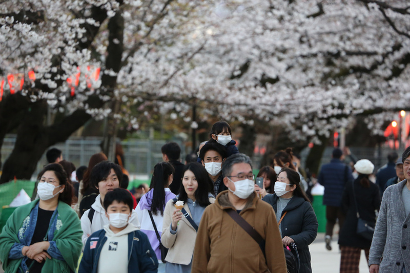 受到武漢肺炎疫情影響，東京都政府宣布在旗下管轄的公園、河川地民眾不得辦櫻花宴，今年賞櫻氣氛不如往年熱絡，可看到許多遊客戴口罩。   圖:中央社