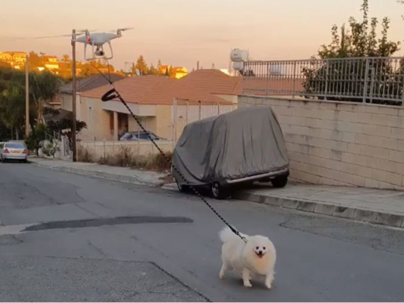國外有一名飼主很聰明，他利用「空拍機」帶狗上街，讓毛孩悠閒地在街頭漫步還露出燦笑。   圖／翻攝自FB@Vakis Demetriou