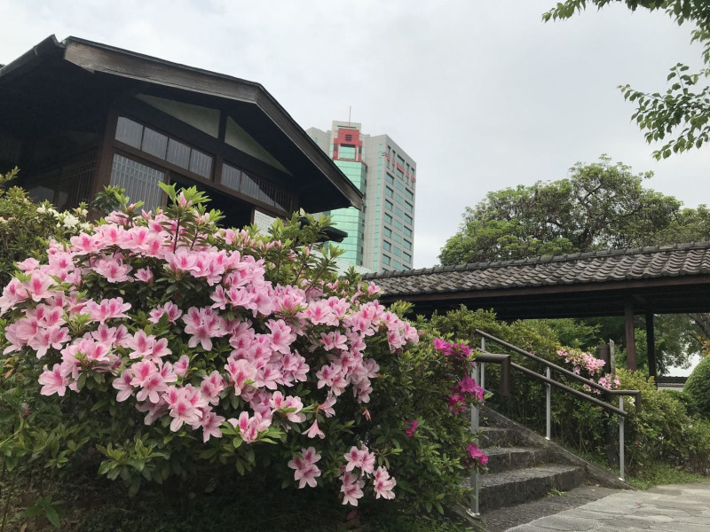 台北市杜鵑花節「花漾幸福嘉年華」活動為防群眾聚集，宣布取消。   圖：翻攝自2020台北杜鵑花季網站