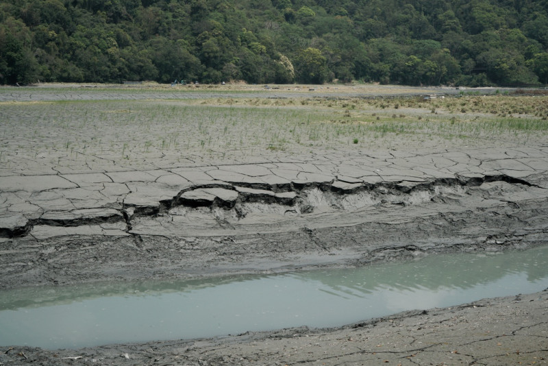 由於連續兩三年颱風過門不入，山區雨量少，今年乾旱現象嚴重，日月潭水位不斷下降，泥土裸露龜裂。   圖：張良一/攝