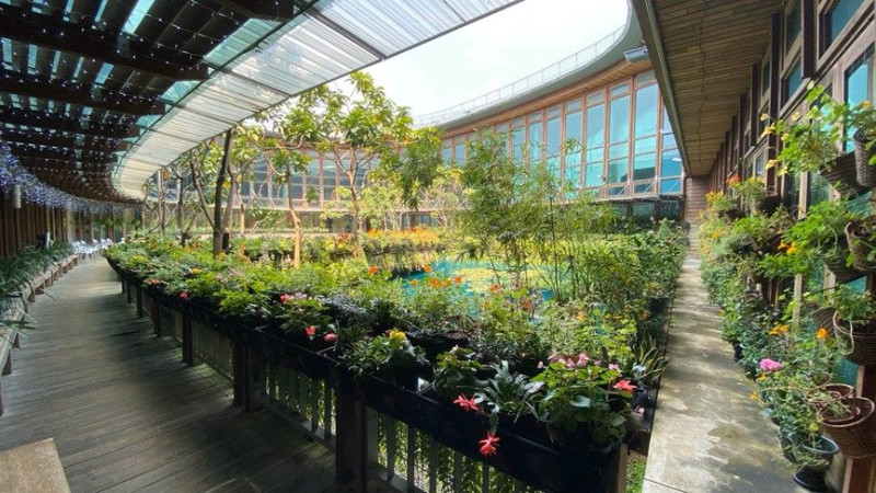 台北市玫瑰展位於花博公園新生園區，展出超過2800株玫瑰。   圖：台北市工務局／提供