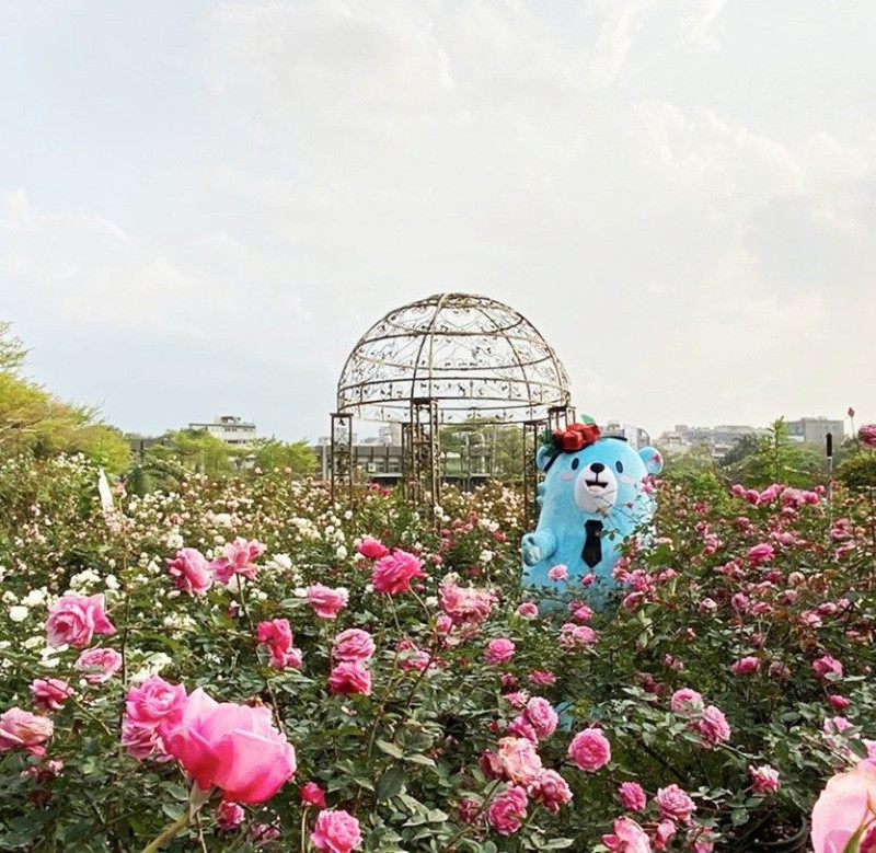 這周末舉辦「親子同歡x玫瑰派對」，還有機會跟吉祥物熊寶一起合照。   圖：台北市工務局／提供
