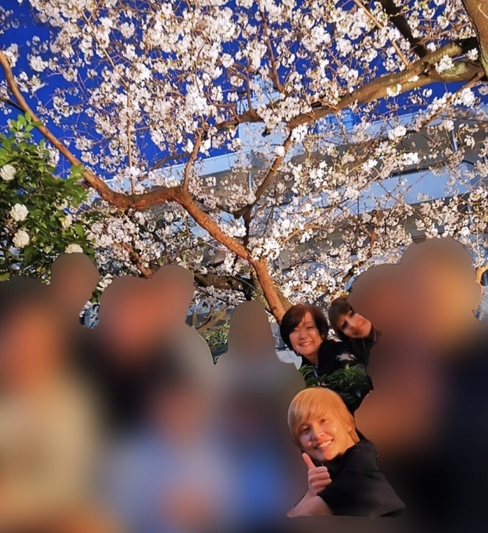週刊POST電子報爆料，安倍妻子昭惠在3月下旬搞群聚賞櫻在日本網上被灌爆。(圖片已進行處理) 圖：下載自NEWS POST SEVEN