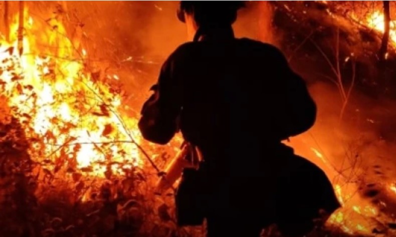 四川森林大火持續延燒，消防員持續進入火場搜救。   圖：翻攝自微信