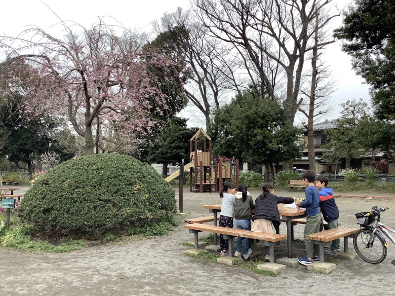 小朋友在櫻花樹下群聚,是違反東京都要求的。 圖:劉黎兒攝影 小朋友在櫻花樹下群聚,是違反東京都要求的。 圖:劉黎兒攝影