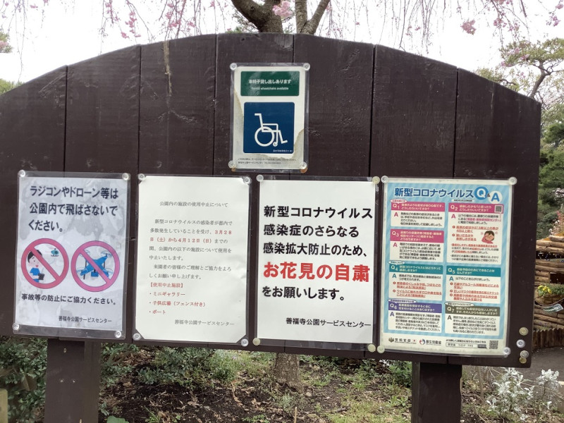 東京今年連賞櫻都不准,一切要自肅。 圖:劉黎兒攝影 東京今年連賞櫻都不准,一切要自肅。 圖:劉黎兒攝影