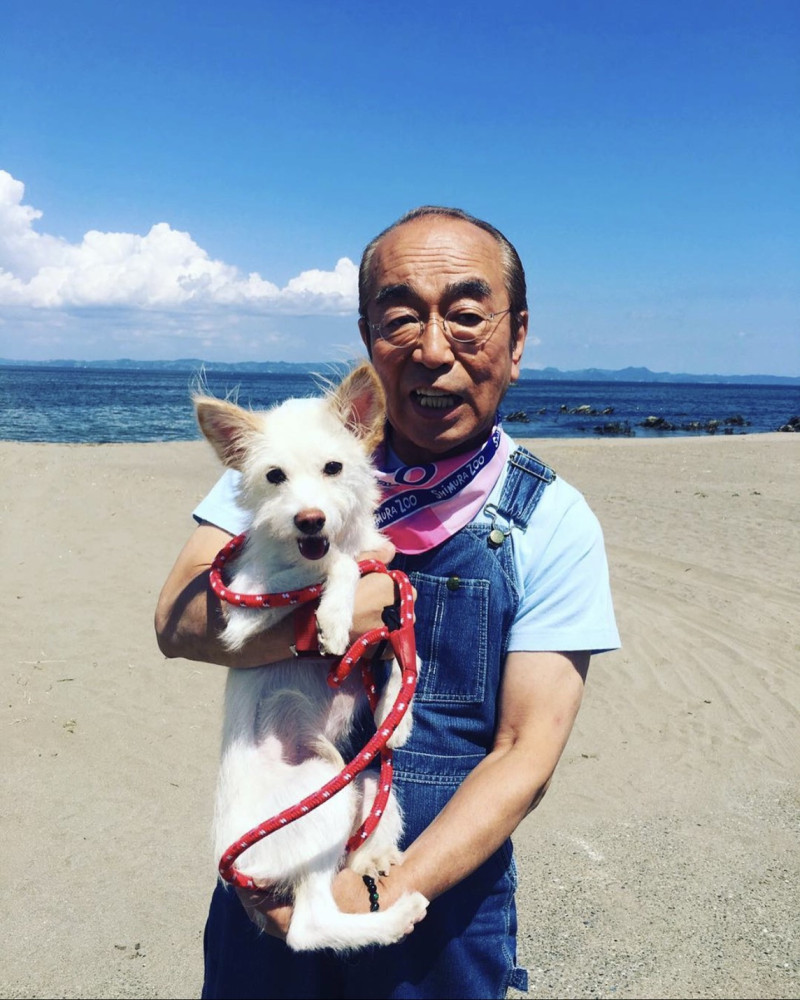 志村健帶愛犬去海邊走走。   圖：翻攝志村健IG