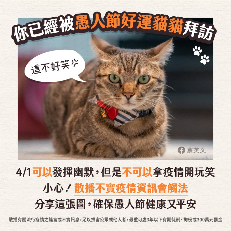 蔡英文於臉書發布「愚人節好運貓貓」，提醒大家雖然明天是愚人節，不過不能拿疫情開玩笑。   圖：翻攝蔡英文臉書