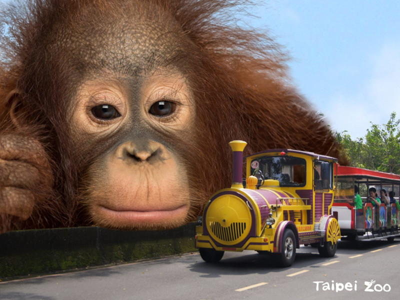 台北市立動物園動物「巨大化」來向人類喊話啦！   圖：台北市立動物園／提供