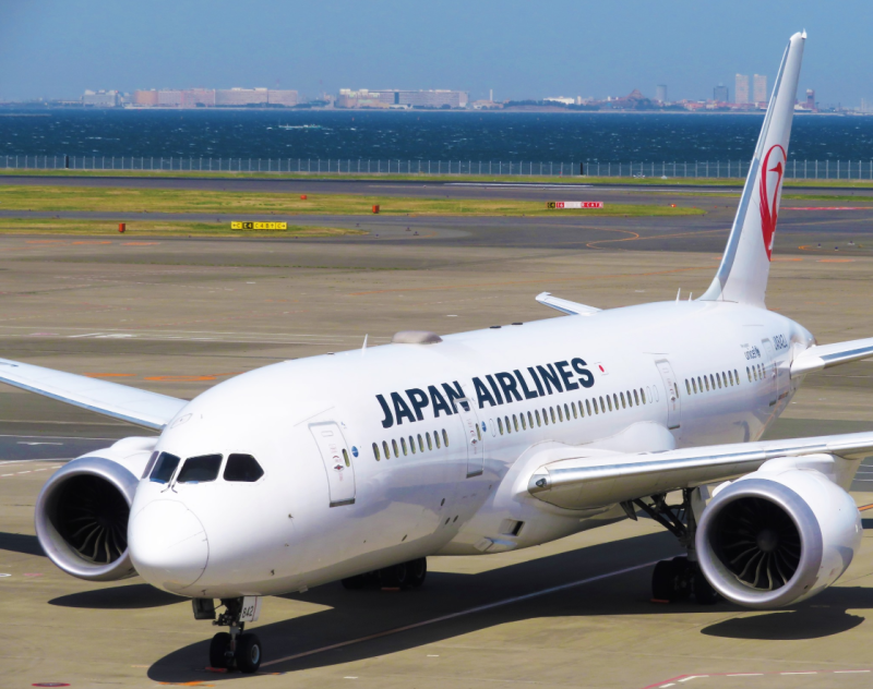 外交部發言人歐江安表示，12位旅居在印度的僑胞已於2日清晨抵達日本東京。(圖為日本航空示意圖)   圖：翻攝自Japan Airlines臉書