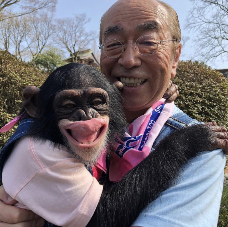 志村健生前主持16年《天才！志村動物園》與黑猩猩小龐搭檔。   圖：擷取志村健IG