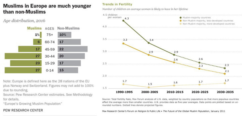 穆斯林的人口結構較為年輕，且生育率也遠高於其他族群。   圖片來源：Pew Research Center