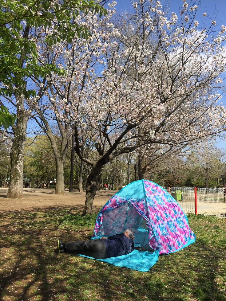 日本各處公園6日起也都沒人，這位老先生獨佔一片美景。 圖：劉黎兒攝影