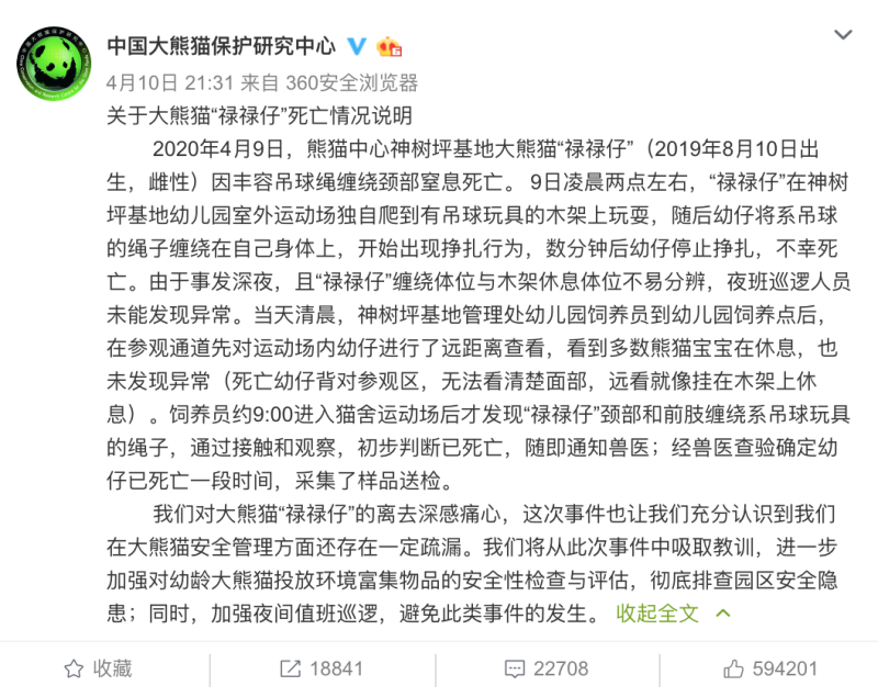 中國大熊貓保護研究中心10日於微博發表聲明。   圖：翻攝自「中国大熊猫保护研究中心」微博