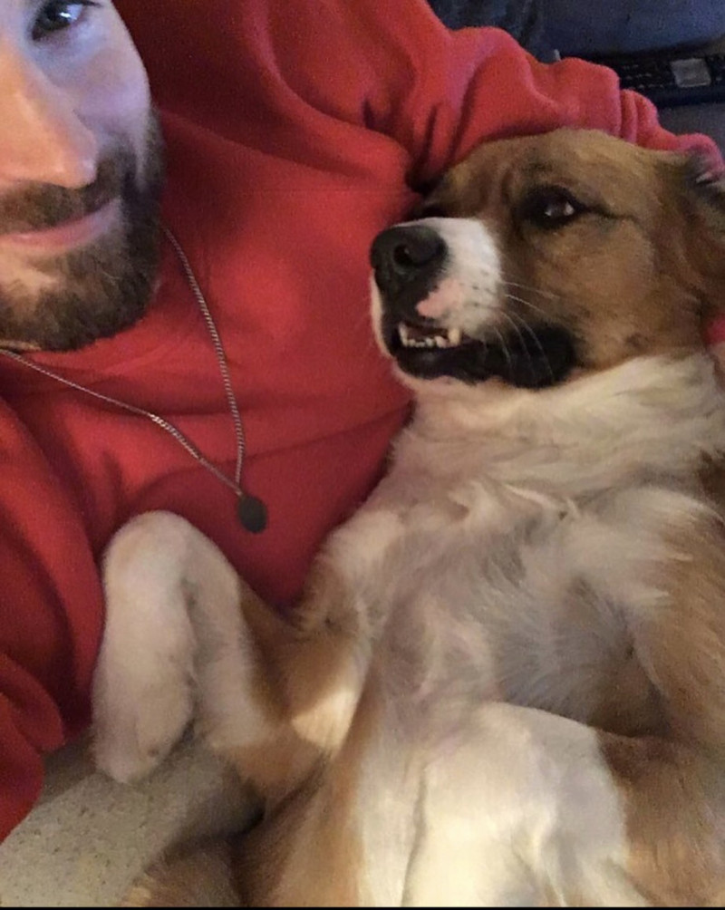 克里斯伊凡常在社群網站上，分享愛犬道奇與他的生活照。   圖：翻攝克里斯伊凡IG