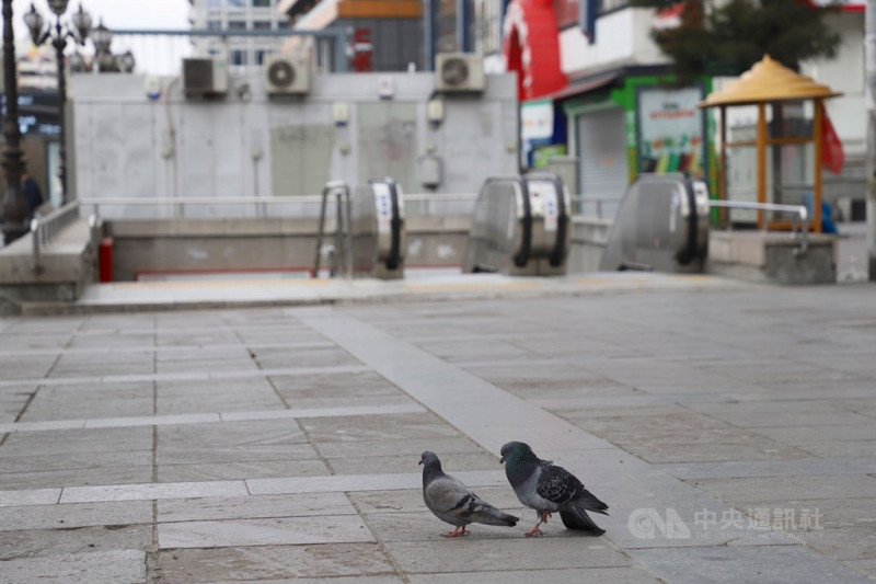 土耳其18日凌晨起再度對31個省實施為期48小時的週末宵禁措施，圖為安卡拉一處捷運站出口只見鴿子棲息。   圖/中央社
