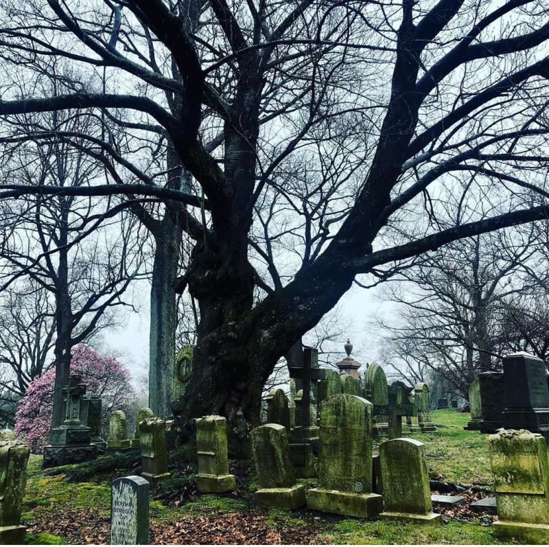 綠蔭公墓是布魯克林的重要歷史地標。   圖:翻攝自IG