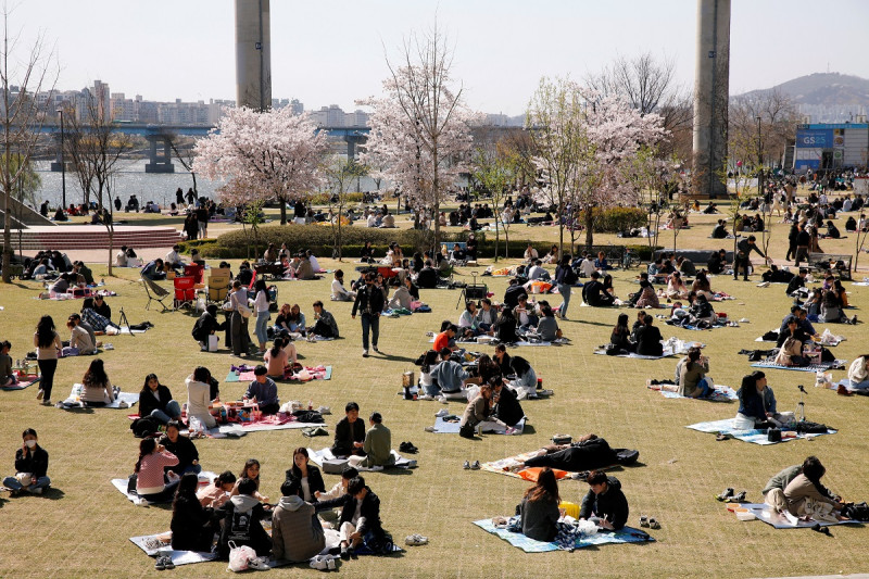 近日南韓政府也放寬社交距離限制，許多民眾趁著週末好天氣，來到野餐勝地漢江公園野餐，享受防疫期間難得的小確幸。   圖：達志影像/路透社