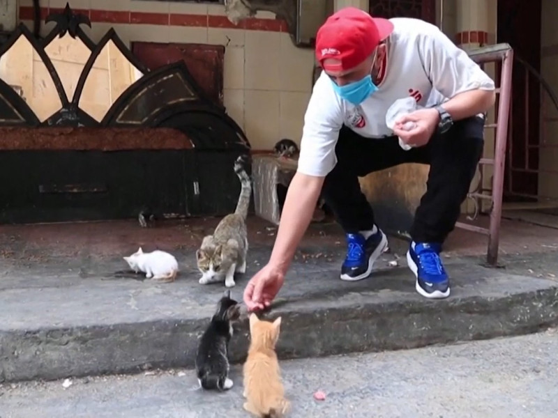 自從拉巴特封城後許多浪貓沒有食物來源，於是他開始餵養浪浪。   圖／翻攝自Youtube@The Animal Reader