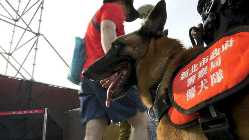 《K9 Canine》記錄新北市警犬隊從幼犬出生起,到訓練成為警犬的完整過程,以及警犬領犬員面對訓練挫折的心路歷程。 圖:新北市新聞局提供