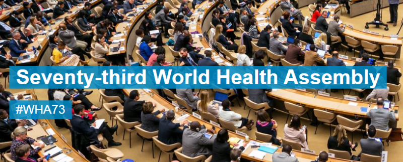 世界衛生大會（WHA）視訊會議今（18）日開議。   圖：翻攝WHO官網
