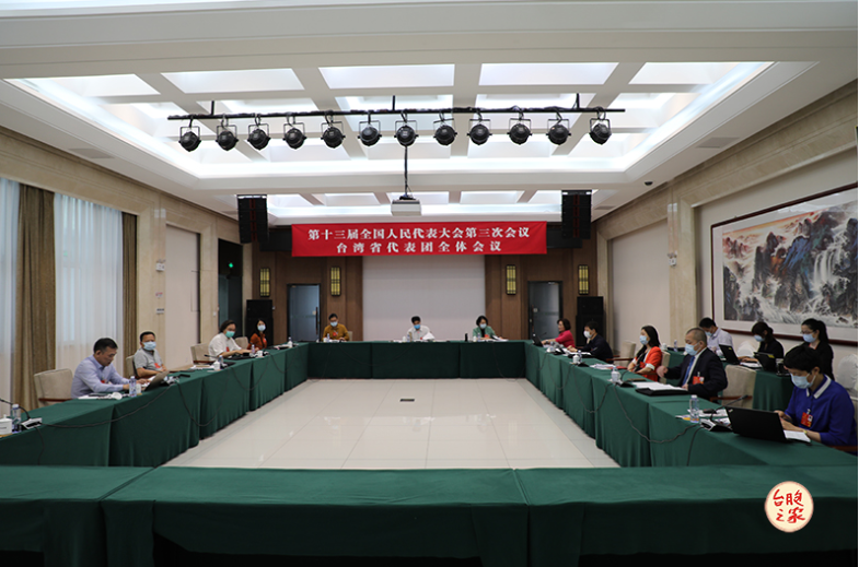 中國第13屆全國人大第三次會議於22日開幕，有13名「台籍人大代表」與會，並召開「台灣省代表團全體會議」。   圖：翻攝自全國台聯網站