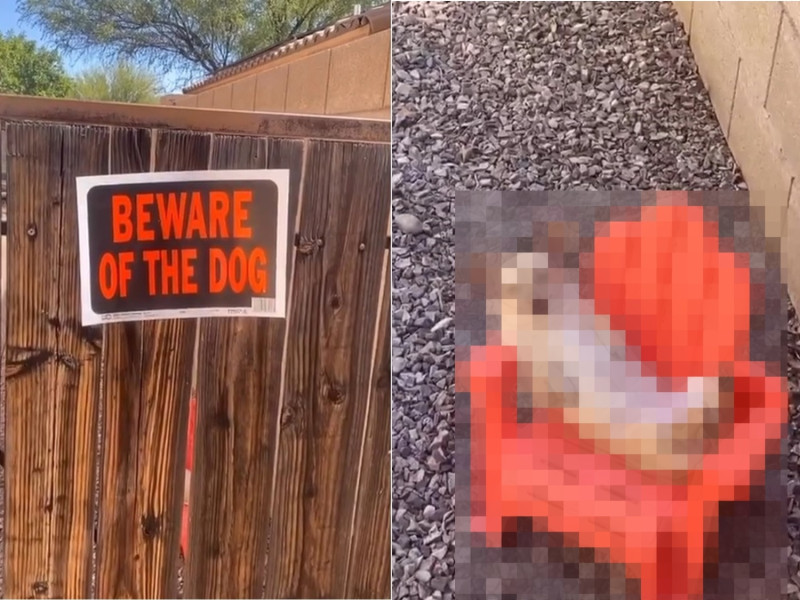 住在美國亞利桑那州的一名IG用戶@scottyhubs，養狗的他好心地在庭院柵欄貼上告示牌「小心惡犬」。   圖／IG@scottyhubs
