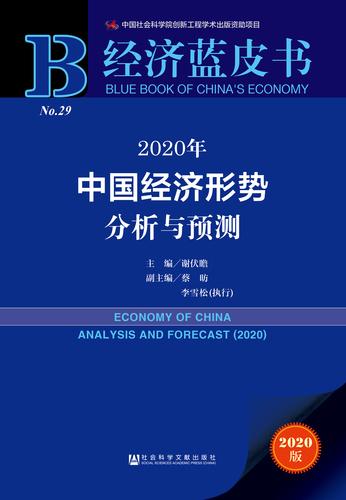 中國社科院預估2020年經濟藍皮書   圖:擷取自baidu