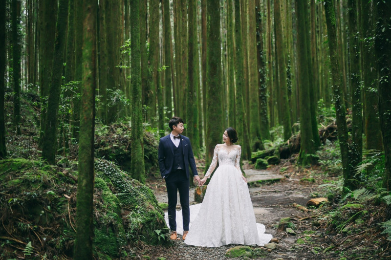 2020年的阿里山神木婚禮系列活動時程已經公布。   圖：阿里山國家風景區管理／提供