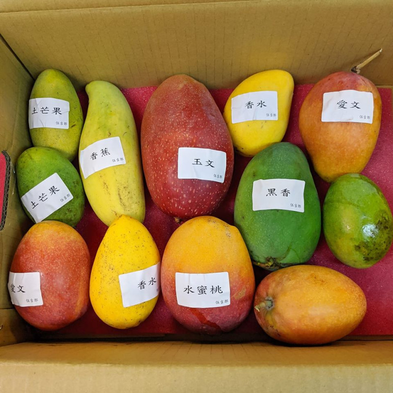 網友分享網購台灣在地小農的「芒果寶盒」開箱文，引起網友熱議，更被日本網友轉傳分享。   圖：翻攝Joyce Huang臉書