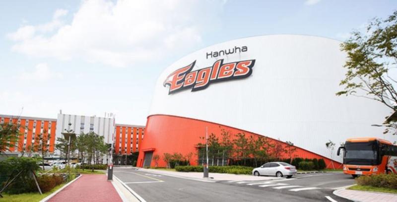 韓火鷹。   圖／取自dong A.com