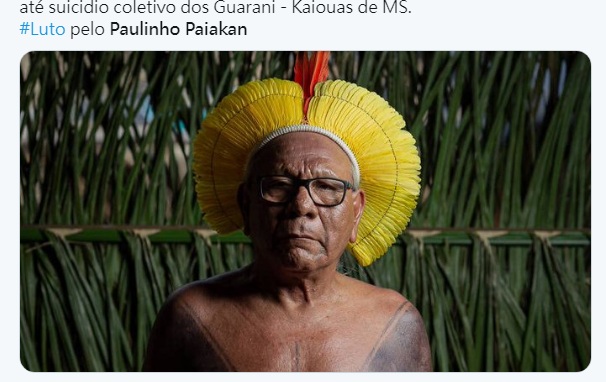 巴西原住民Kayapo族酋長派亞坎（Paulinho Paiakan）   圖:擷取自twitter