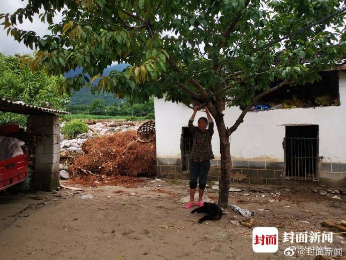 一名11歲女子遇上洪難時抓住鄰居家的櫻桃樹，成功被救出生還。   圖：翻攝自封面新聞微博