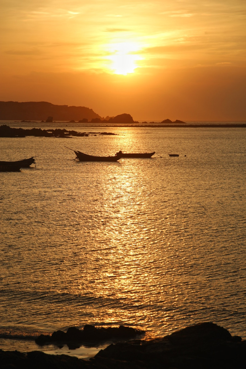 現在正是馬祖的五節芒花開季節，夕陽將芒花照耀的金燦燦與金黃的海面、晚霞相呼應，非常美麗。   圖：Jen攝影/提供