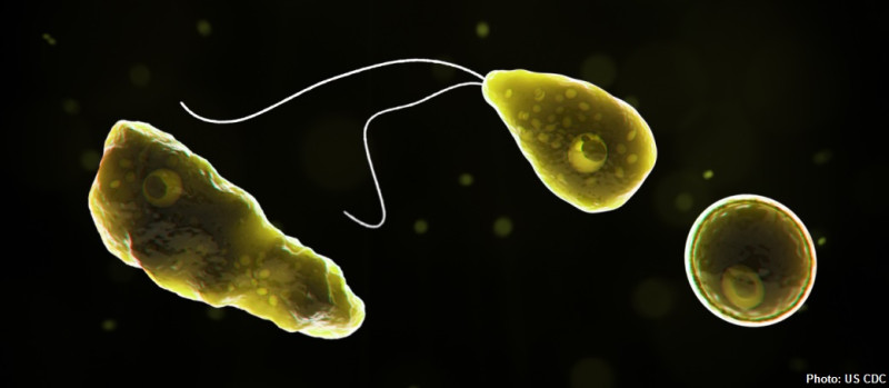 美國佛羅里達州出現罕見「福氏內格里蟲」感染案例。   圖：翻攝自推特
