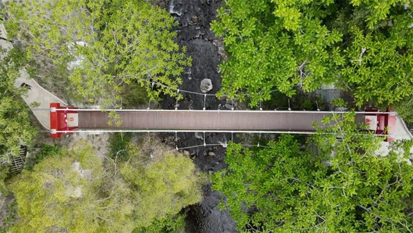 武陵農場為了解決隘口人車爭道問題，建造京華橋讓人可安全行走。   圖：武陵農場／提供