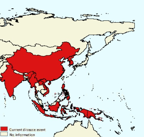 世界動物衛生組織列出東亞與南亞目前仍是非洲豬瘟疫區的國家   圖:擷取自OIE