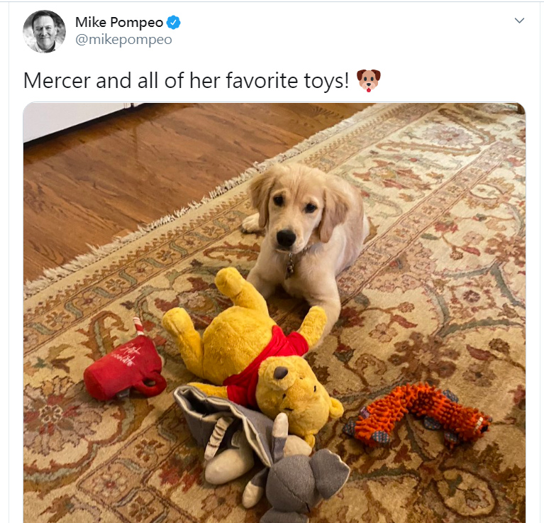 美國國務卿蓬佩奧在推特上傳愛犬「默瑟」照片，赫然出現小熊維尼玩偶，引發聯想。   圖：翻攝自蓬佩奧推特