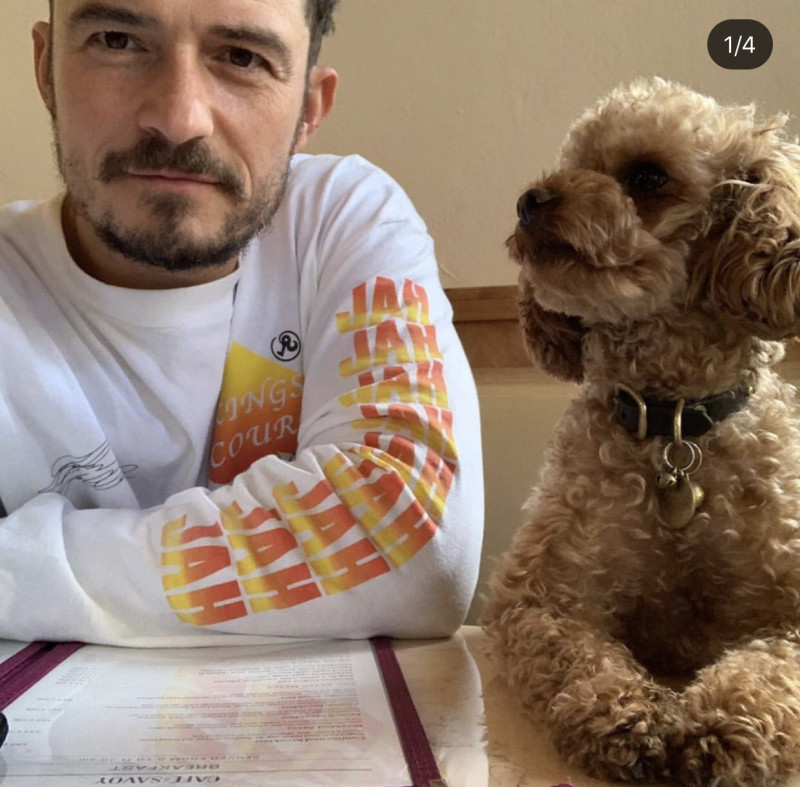 奧蘭多布魯(左)與他的愛犬Mighty(右)感情非常好。   圖：翻攝Instagram