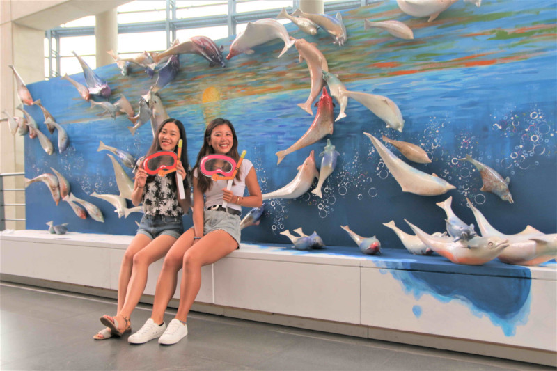 游忠平以中華白海豚為主角的《愛相隨》，66隻姿態生動、喜歡跳躍的海豚連結成愛心，為藝術季最吸引民眾搶拍的創作之一。    圖：王峻昌／攝
