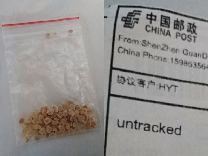日本也傳出有民眾收到疑似來自中國的可疑種子包裹。   圖：翻攝JURIJURINKO推特