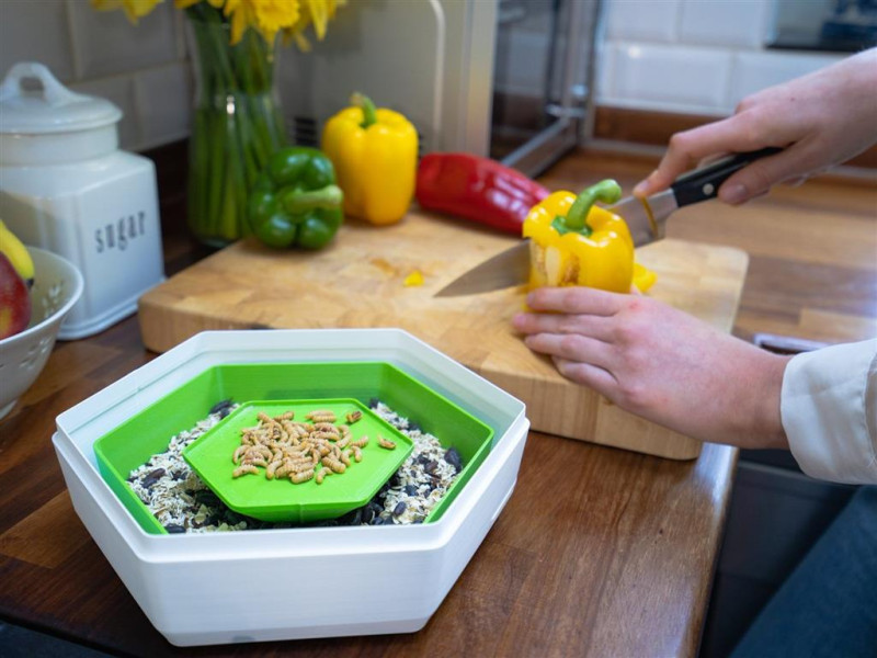 英國的新創公司「BeoBia」推出了一款名為「Re_」的昆蟲養殖容器。   圖：BeoBia官方臉書粉絲團