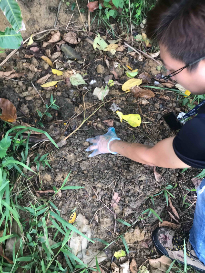稽查員至現場調查發現土堆有異味，附近都是蒼蠅且有翻過的痕跡。    圖：新北市環保局提供