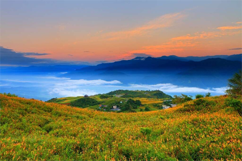 雲彩中的赤科山金針花海。   圖：翻攝自花東縱谷國家風景區