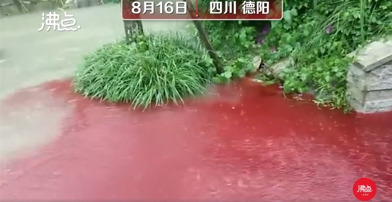 四川德陽市暴雨不斷，積水問題嚴重。有民眾發現一大片猶如「生物血液」的不明紅色汙水蔓延附近街道。   圖：翻攝沸點視頻
