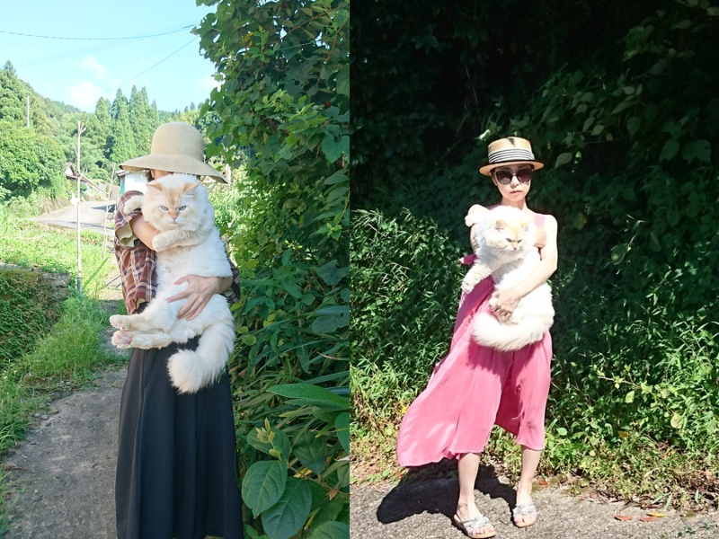 主人經常抱著白貓在鄉間小路散步。   圖／Twitter@WeUADL1Ws02osvw