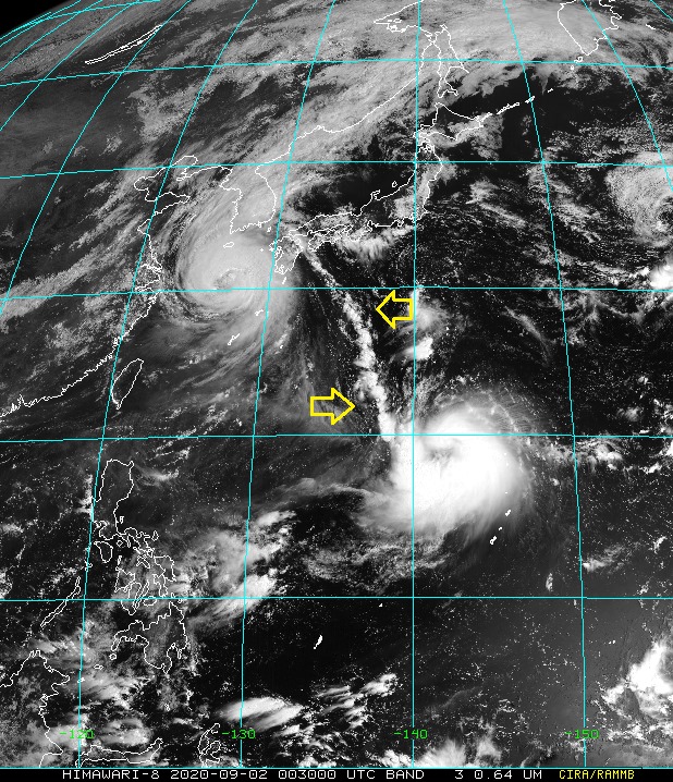 中央氣象局局長鄭明典載臉書PO文表示，從衛星雲圖上可見梅莎、海神兩個颱風距離相差超過2000公里，但卻有明顯的雲系牽連，看起來就像長臍帶。   圖：翻攝鄭明典臉書