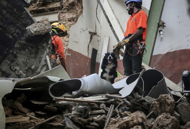 智利救難人員2日帶著搜救犬在貝魯特爆炸範圍搜索，該搜救犬（中）對Gemmayzeh區內的某瓦礫堆出現反應，之後偵測到生命跡象。   圖：達志影像/美聯社