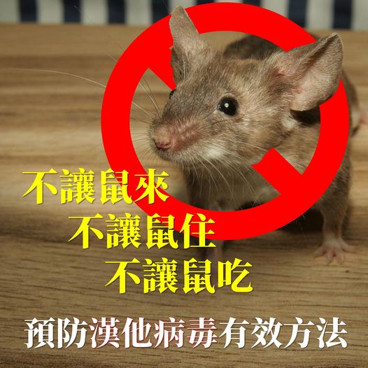 預防漢他病毒3步驟：「 不讓鼠來、不讓鼠住、不讓鼠吃 」。   圖：取自新北市衛生局粉專/新北衛什麼