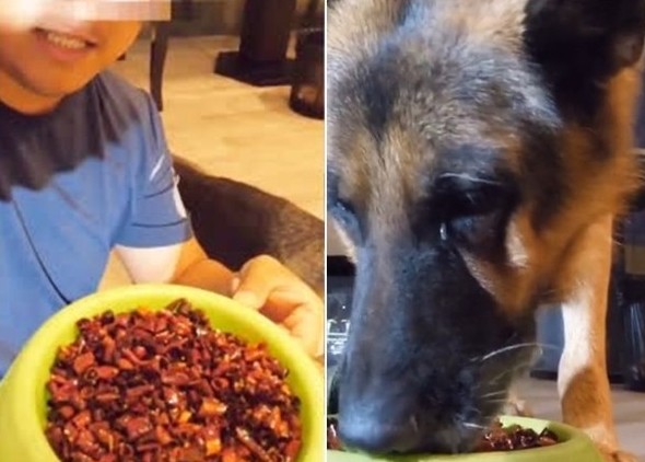 中國直播主讓狗吃辣子雞，並在一旁冷血看著狗狗受不了刺激而流淚。   圖：翻攝微博